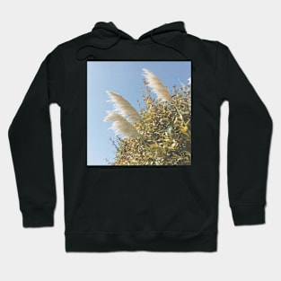 Pampas Grass Hoodie